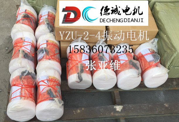 YZU-2-4振動(dòng)電機(jī)發(fā)貨圖片_副本.jpg YZU-2-4振動(dòng)電機(jī)發(fā)貨圖片_副本.jpg